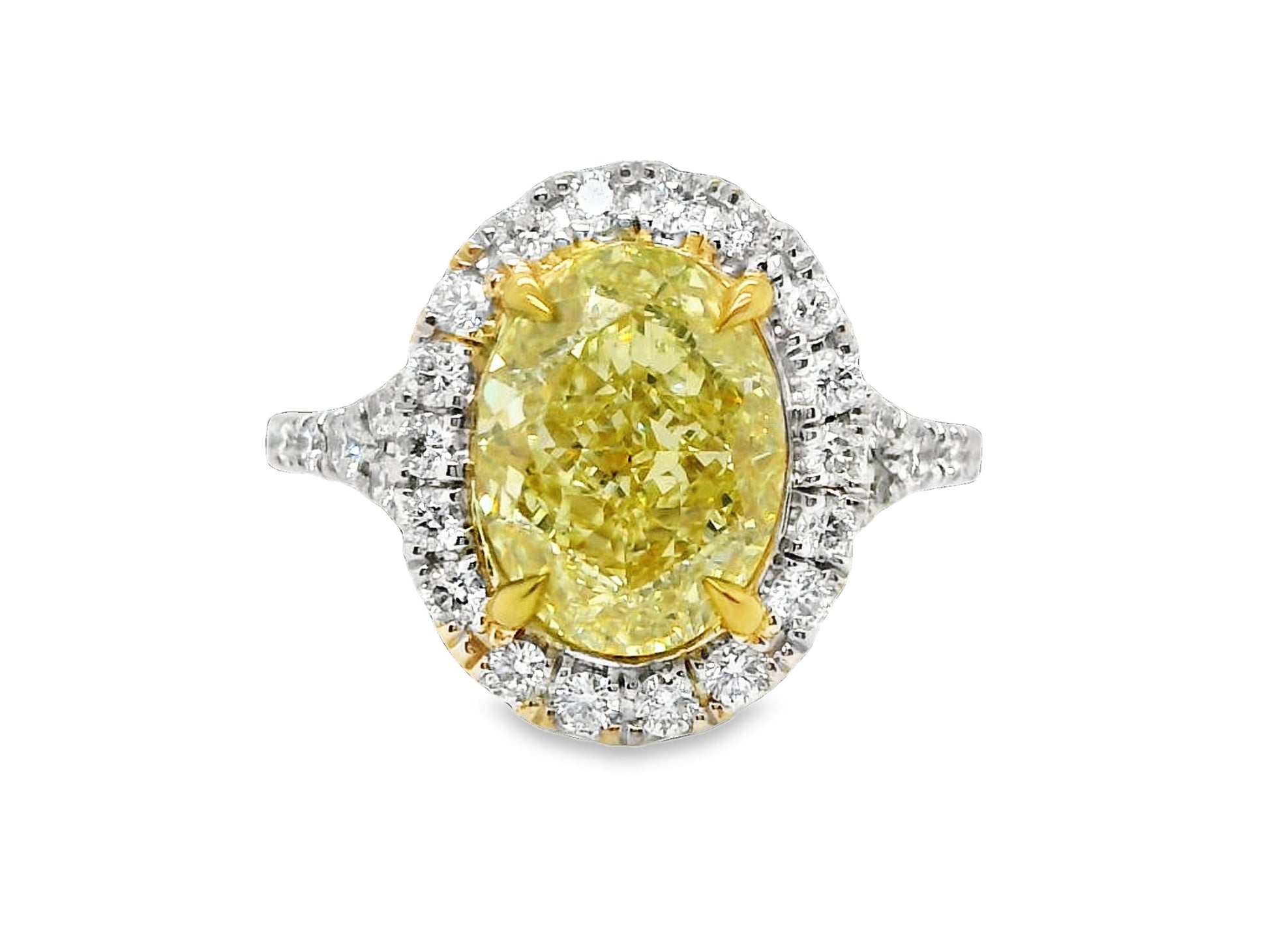 Natural Oval Fancy Light Yellow Diamond Halo ring, in Yellow Gold