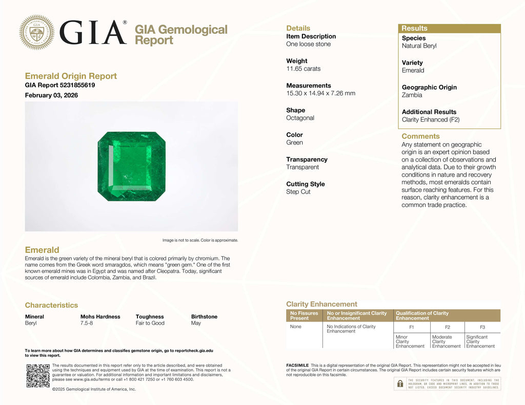 11.65 Carat Green Zambia Emerald Asscher Cut GIA